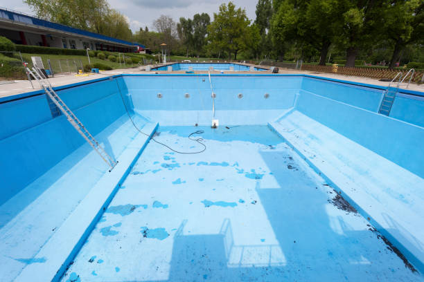 Best Water damage restoration mold remediation  in Sophia, WV