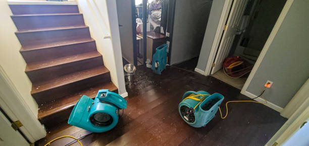 Best 24-hour water damage restoration  in Sophia, WV