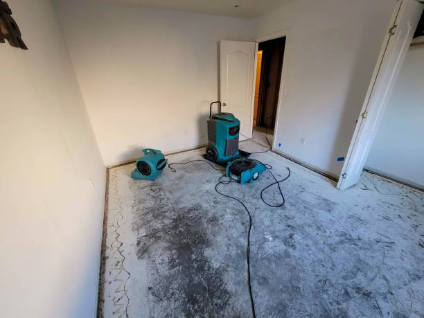 Best Flood restoration services  in Sophia, WV