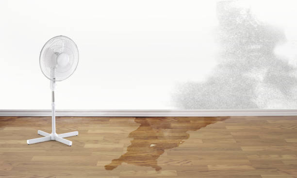 Best Flood damage cleanup  in Sophia, WV