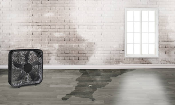 Water damage restoration mold remediation in WV