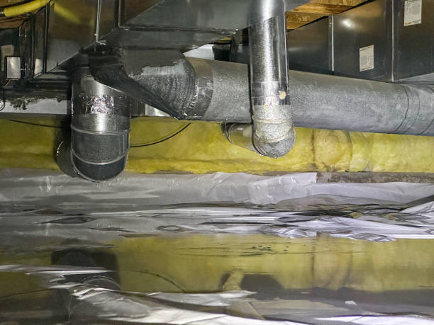 Best Water damage cleanup near me  in Sophia, WV