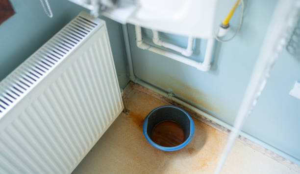  Sophia, WV Water damage restoration Pros