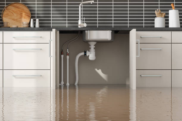 Best Emergency water damage restoration  in Sophia, WV