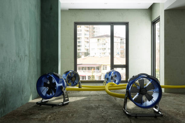 Best 24-hour water damage restoration  in Sophia, WV