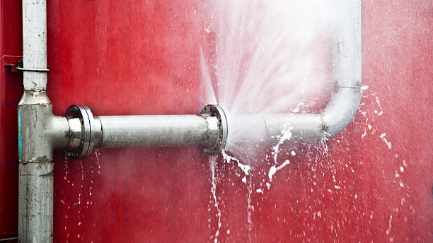 Best Carpet water damage restoration  in Sophia, WV
